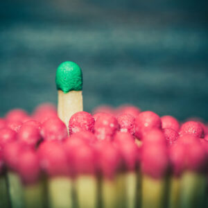 Att leda utan att vara chef